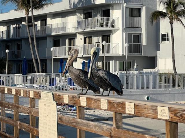 Casa Clara Condos Key Colony Beach Zewnętrze zdjęcie